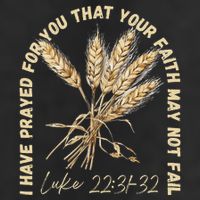 I Have Prayed For You Luke 2231 32 Faith 25L Jumbo Tote