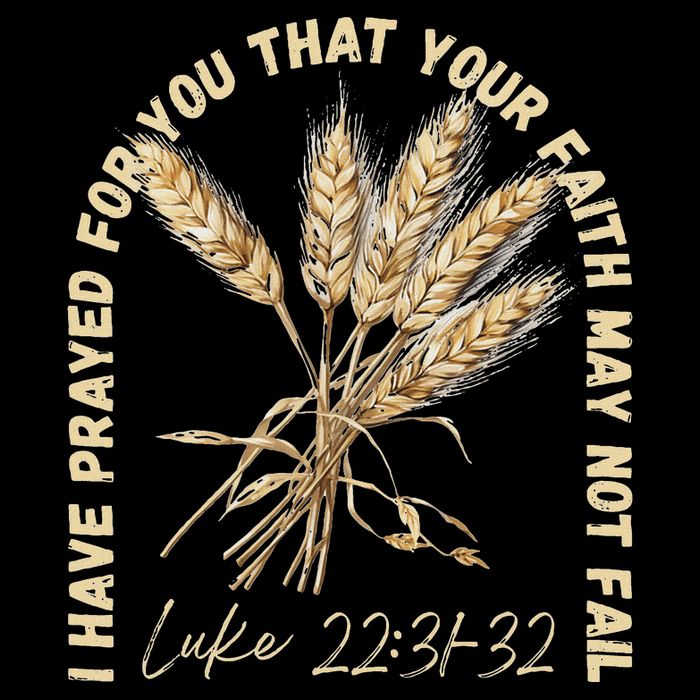I Have Prayed For You Luke 2231 32 Faith Wool Snapback Cap