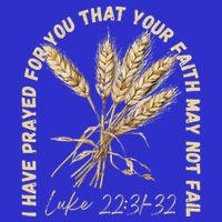 I Have Prayed For You Luke 2231 32 Faith 16 in Basic Backpack
