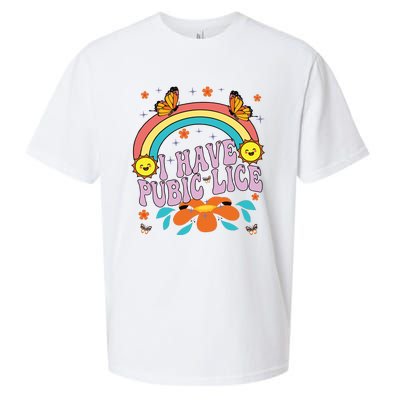 I Have Pubic Lice Sueded Cloud Jersey T-Shirt