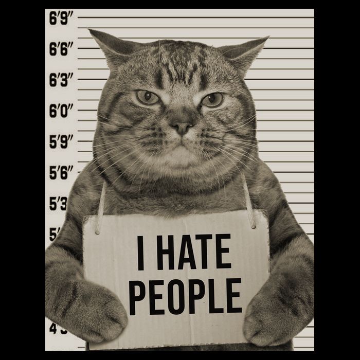 I Hate People Funny Jail Cat Sweatshirt