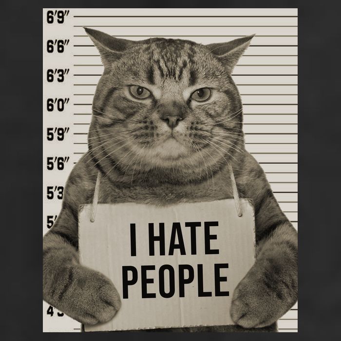 I Hate People Funny Jail Cat Adult Drive Performance Visor