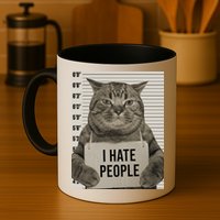 I Hate People Funny Jail Cat Mug