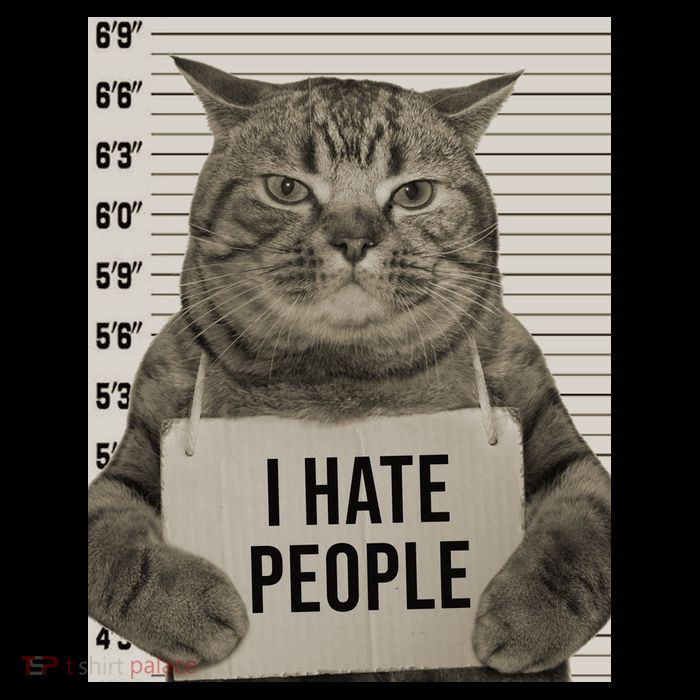 I Hate People Funny Jail Cat Tie-Dye T-Shirt