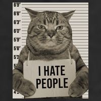 I Hate People Funny Jail Cat Hat