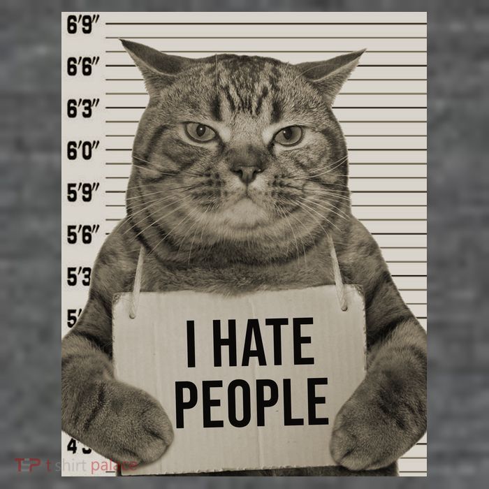 I Hate People Funny Jail Cat T-Shirt