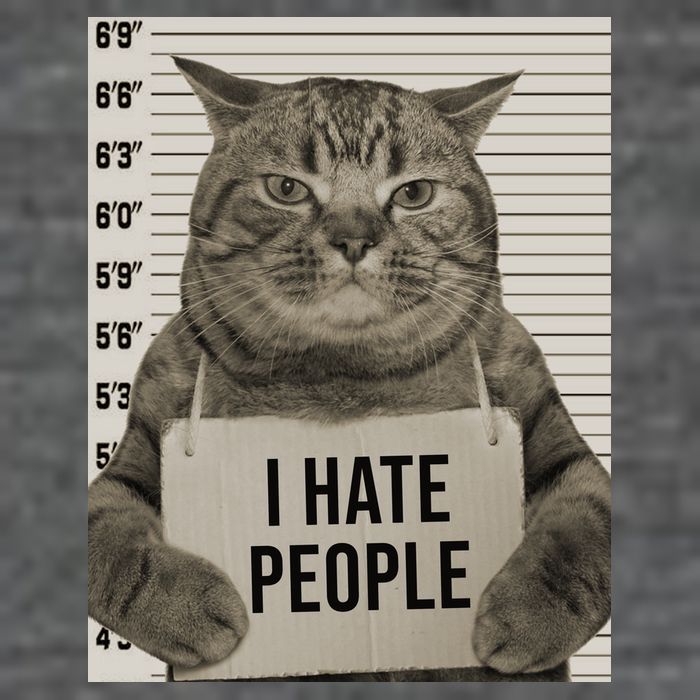 I Hate People Funny Jail Cat Backpack
