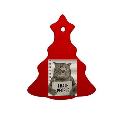 I Hate People Funny Jail Cat Ceramic Tree Ornament