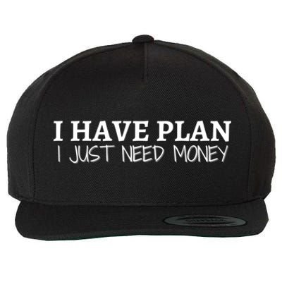 I Have Plan I Just Need Money Funny Gamer Rdr2 Funny Gift Wool Snapback Cap