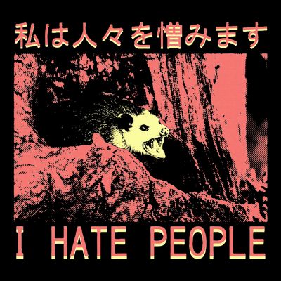 I Hate People Opossum I Hate People Opossum Japanese T-Shirt