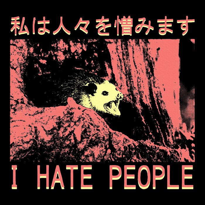 I Hate People Opossum I Hate People Opossum Japanese Kids T-Shirt