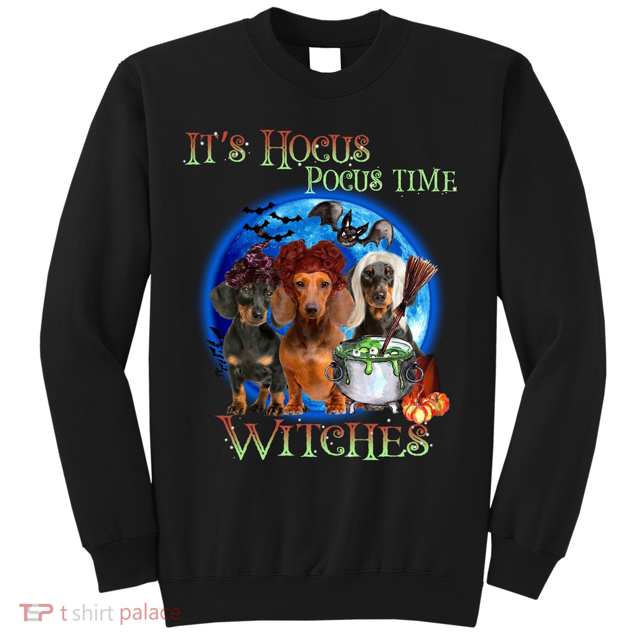 It's Hocus Pocus Time Witches Dachshund Halloween Design Sweatshirt