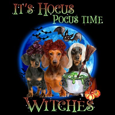 It's Hocus Pocus Time Witches Dachshund Halloween Design T-Shirt