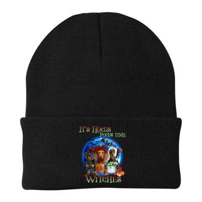 It's Hocus Pocus Time Witches Dachshund Halloween Design Beanie