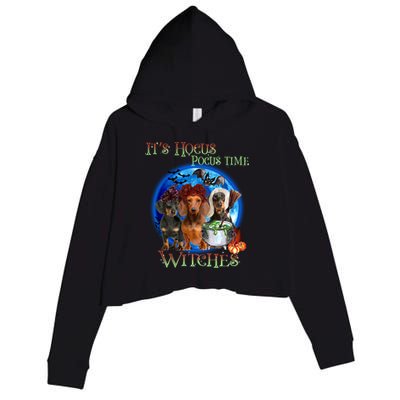 It's Hocus Pocus Time Witches Dachshund Halloween Design Crop Fleece Hoodie