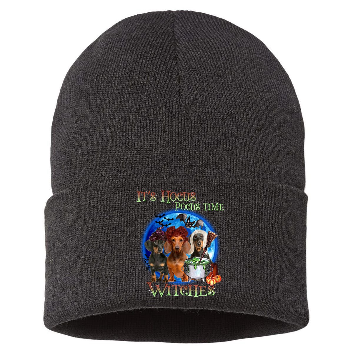 It's Hocus Pocus Time Witches Dachshund Halloween Design Sustainable Knit Beanie