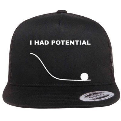 I Had Potential Funny Physics Science Flat Bill Trucker Hat