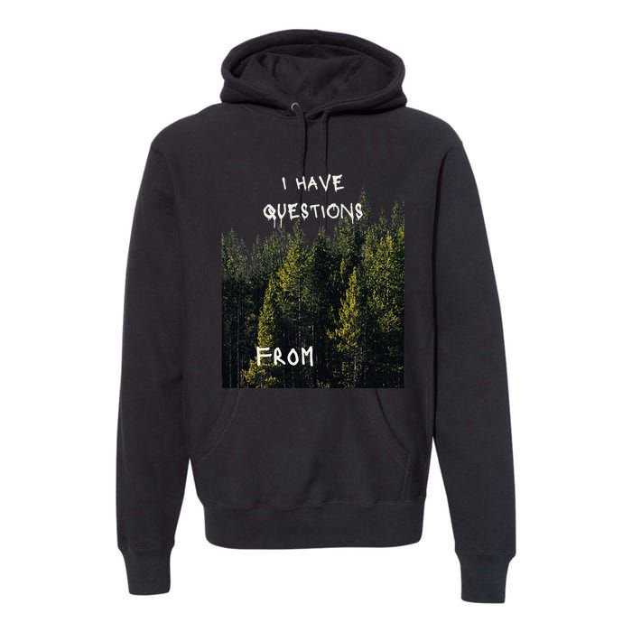 I Have Questions From Premium Hoodie