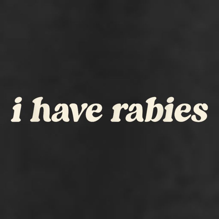 I Have Rabies Funny Unhinged Meme Cool Comfort Performance Bucket Hat