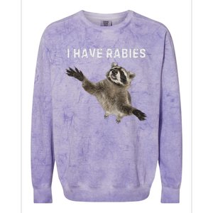 I Have Rabies DonT Tailgate Me Colorblast Crewneck Sweatshirt