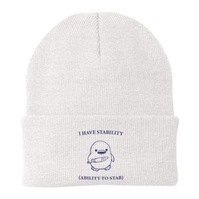 I Have Stability Ability To Stab Beanie