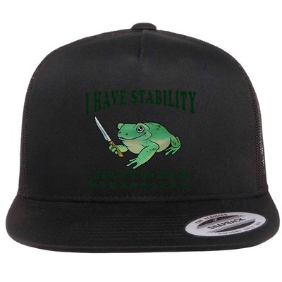 I Have Stability Ability To Stab Funny Frog Flatbill Hat