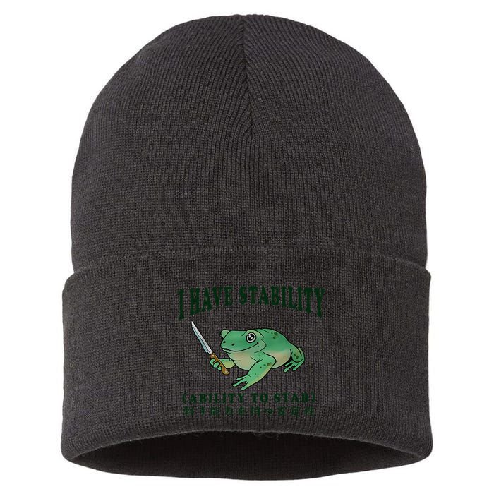I Have Stability Ability To Stab Funny Frog Sustainable Knit Beanie
