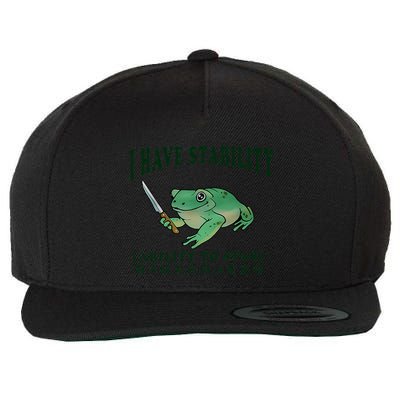 I Have Stability Ability To Stab Funny Frog Wool Snapback Cap