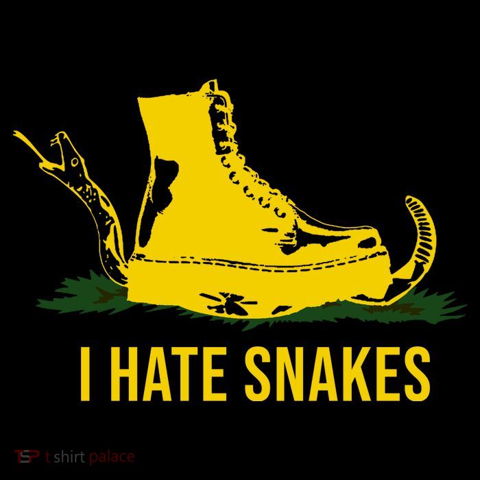 I Hate Snakes Don't Thread On Me Flag Sustainable Knit Beanie