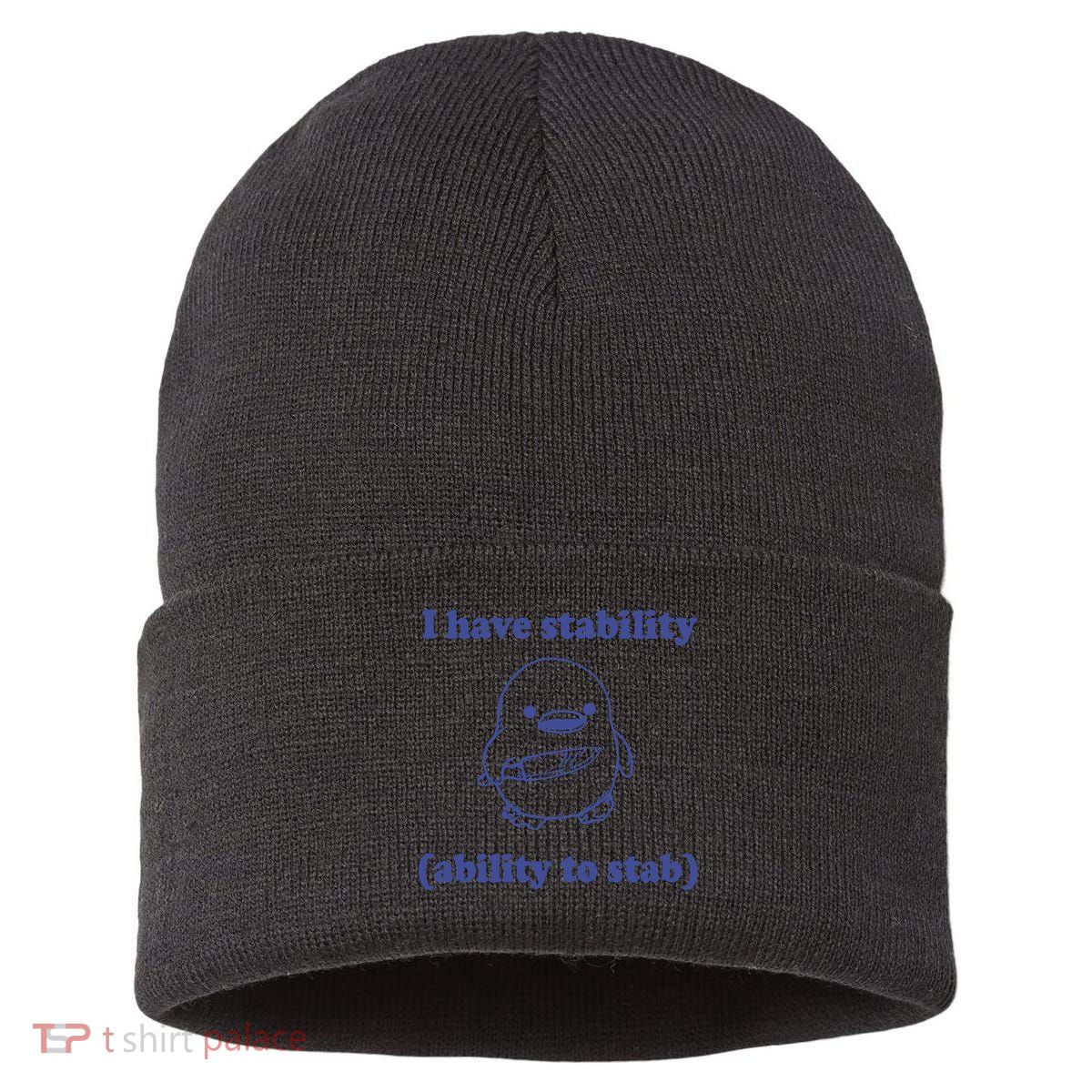 I Have Stability Ability To Stab Funny Sustainable Knit Beanie