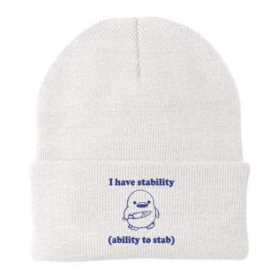 I Have Stability Ability To Stab Funny Beanie