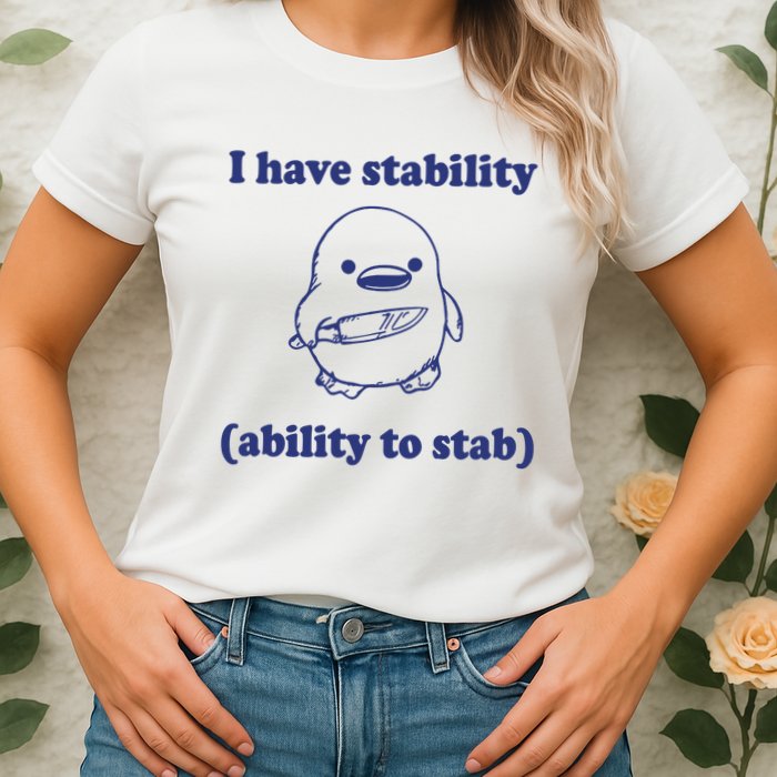 I Have Stability Ability To Stab Funny Womens T-Shirt