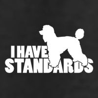 I Have Standards A Funny Standard Poodle Graphic Gift 11oz C Handle Ceramic Mug