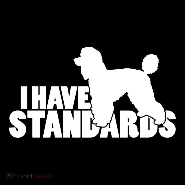 I Have Standards A Funny Standard Poodle Graphic Gift Drawstring Bag
