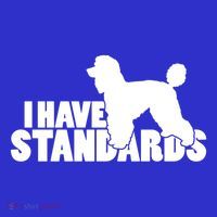 I Have Standards A Funny Standard Poodle Graphic Gift T-Shirt