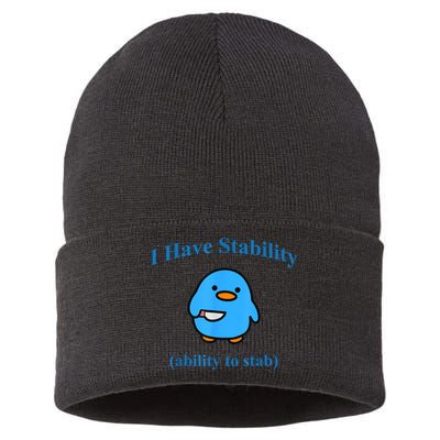 I Have Stability Ability To Stab Sustainable Knit Beanie