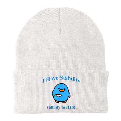 I Have Stability Ability To Stab Beanie