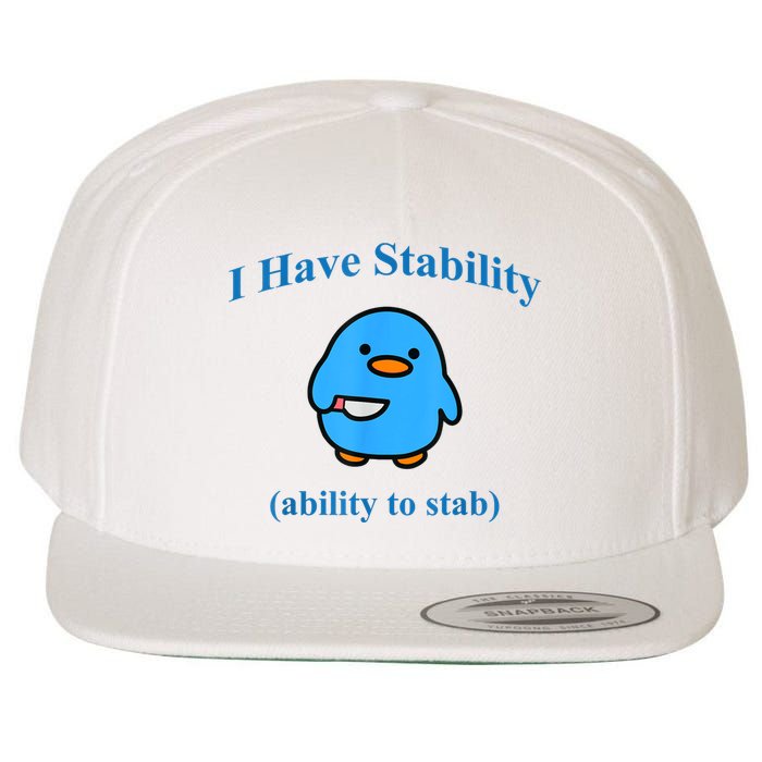I Have Stability Ability To Stab Wool Snapback Cap