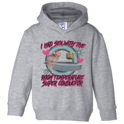 I Had Sex With The Room Temperature Super Conductor Toddler Hoodie