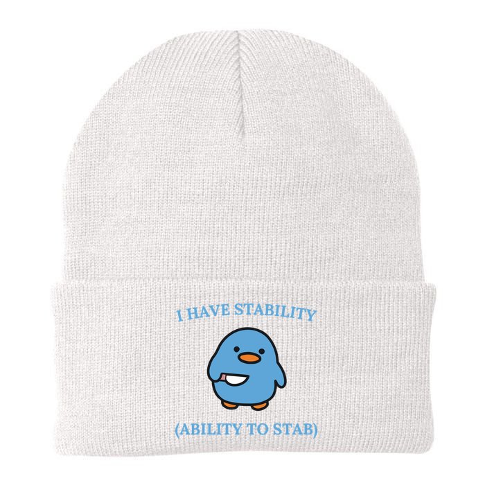 I Have Stability Ability To Stab Beanie