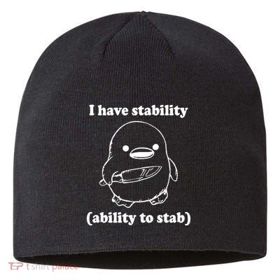 I Have Stability Ability To Stab Funny Sustainable Beanie