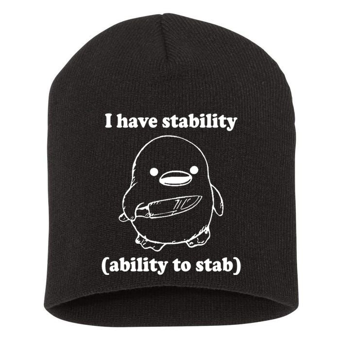 I Have Stability Ability To Stab Funny Short Acrylic Beanie