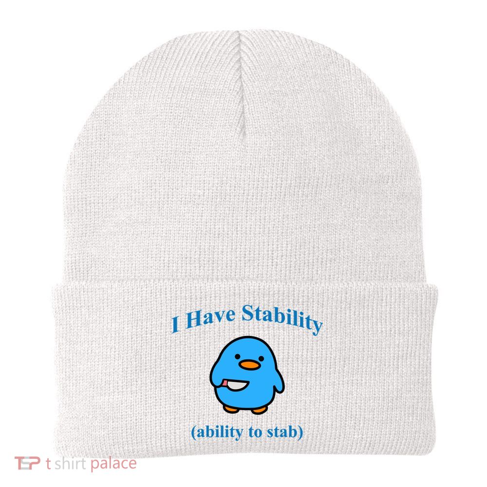 I Have Stability Ability To Stab Beanie
