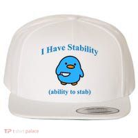 I Have Stability Ability To Stab Wool Snapback Cap