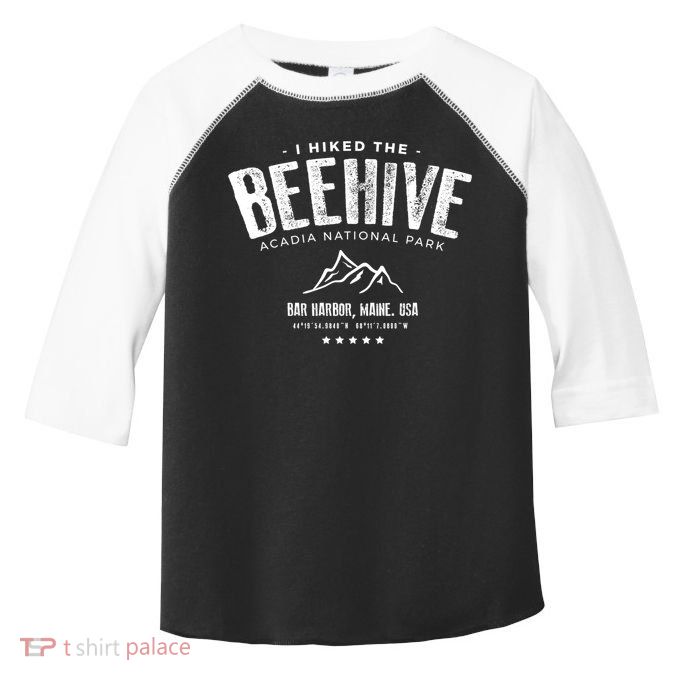 I Hiked The Beehive Trail Acadia National Park Gift Toddler Fine Jersey T-Shirt