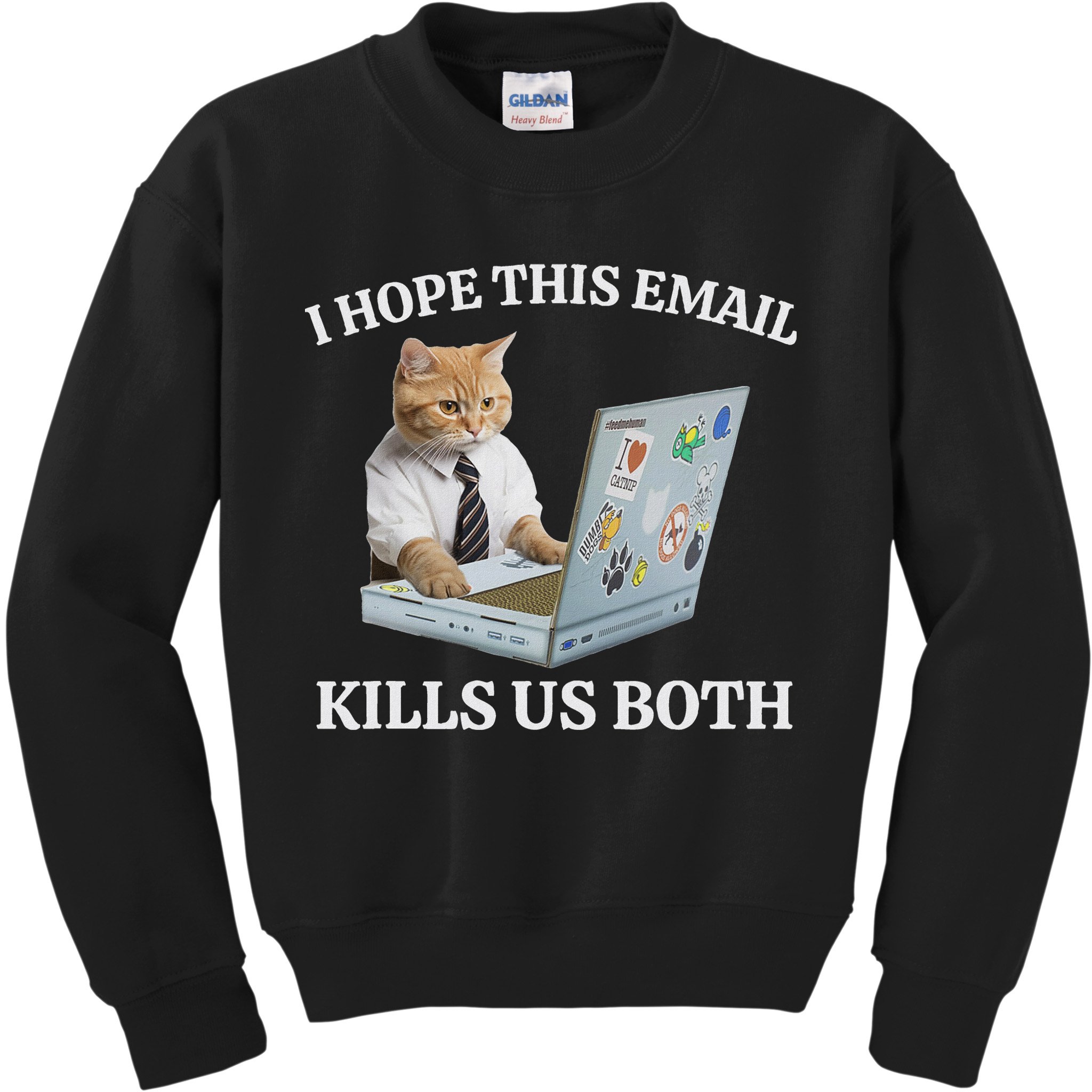 I Hope This Email Kills Us Both Kids Sweatshirt