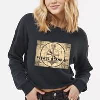 Indian Head TV Test Pattern Old Television Color Bars Cropped Pullover Crew