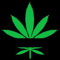 ID Hit That Funny Weed 4/20 16 in Basic Backpack