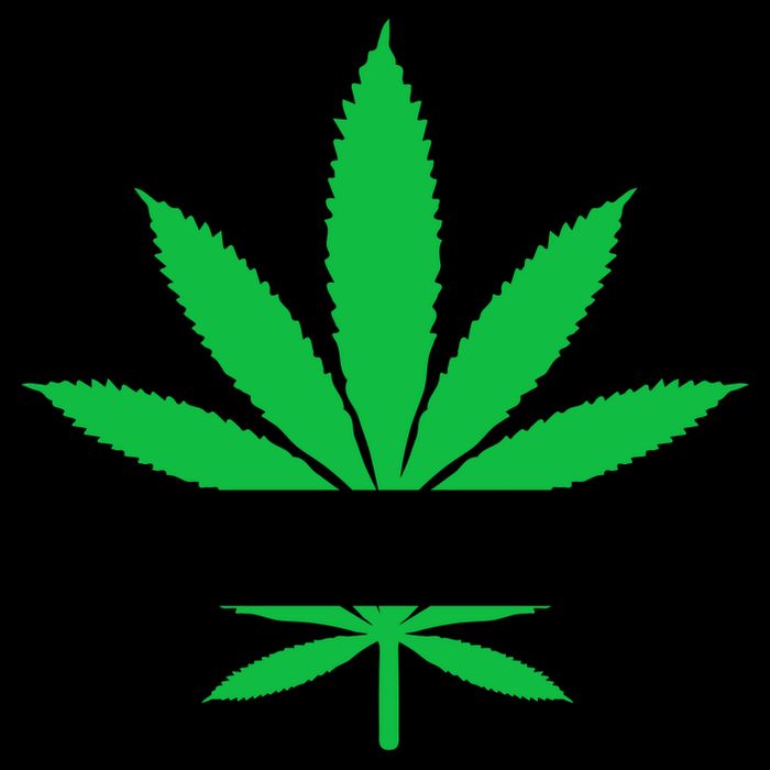 ID Hit That Funny Weed 4/20 16 in Basic Backpack