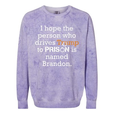 I Hope The Person Who Drives Trump To Prison Named Brandon Colorblast Crewneck Sweatshirt